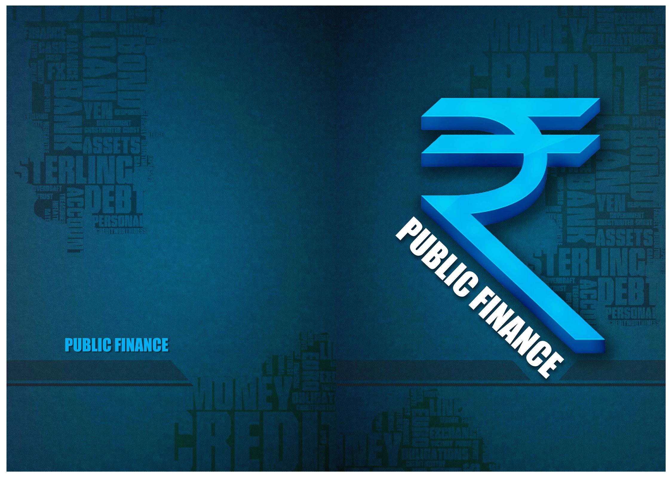 public-finance-business-graphic-design
